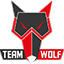 MTS GameGod Team Wolf