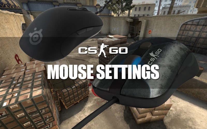 Thank you for your help Moral Mysterious Optimal Mouse Settings & Sensitivity for CS:GO - Pro Settings