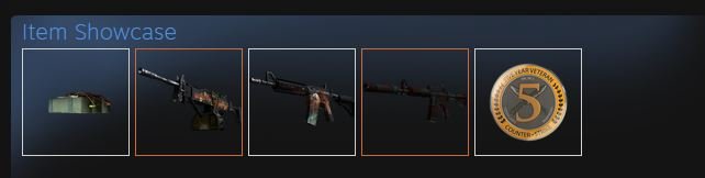 c4_steam_item_showcase